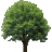 tree_